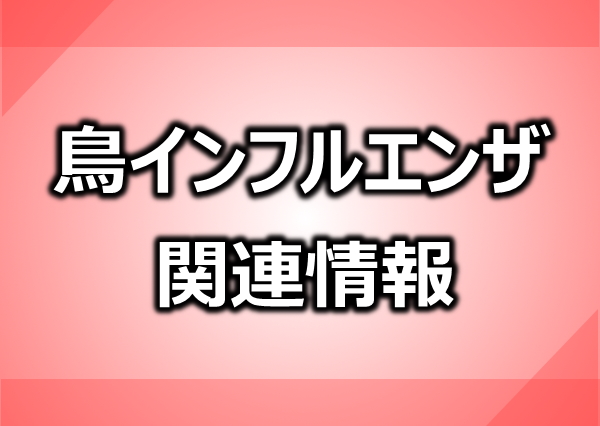 鳥インフルエンザ情報ページバナー