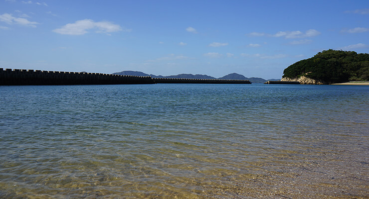 沙弥島海岸の写真