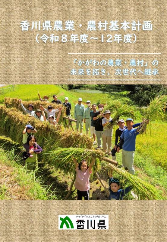 all_cover