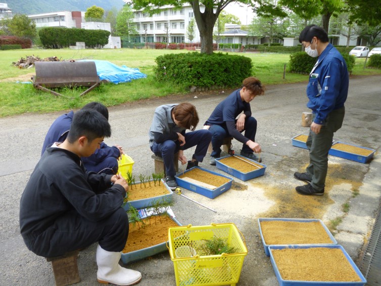 林業・造園緑化コース苗木づくり