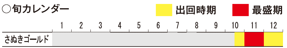旬（ゴールド）