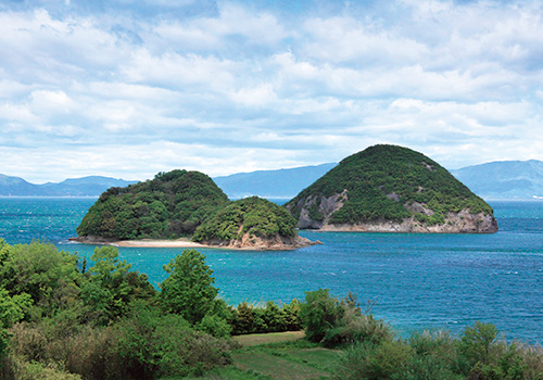 丸亀島の写真