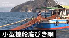 小型機船船びき網漁業紹介動画のサムネイル