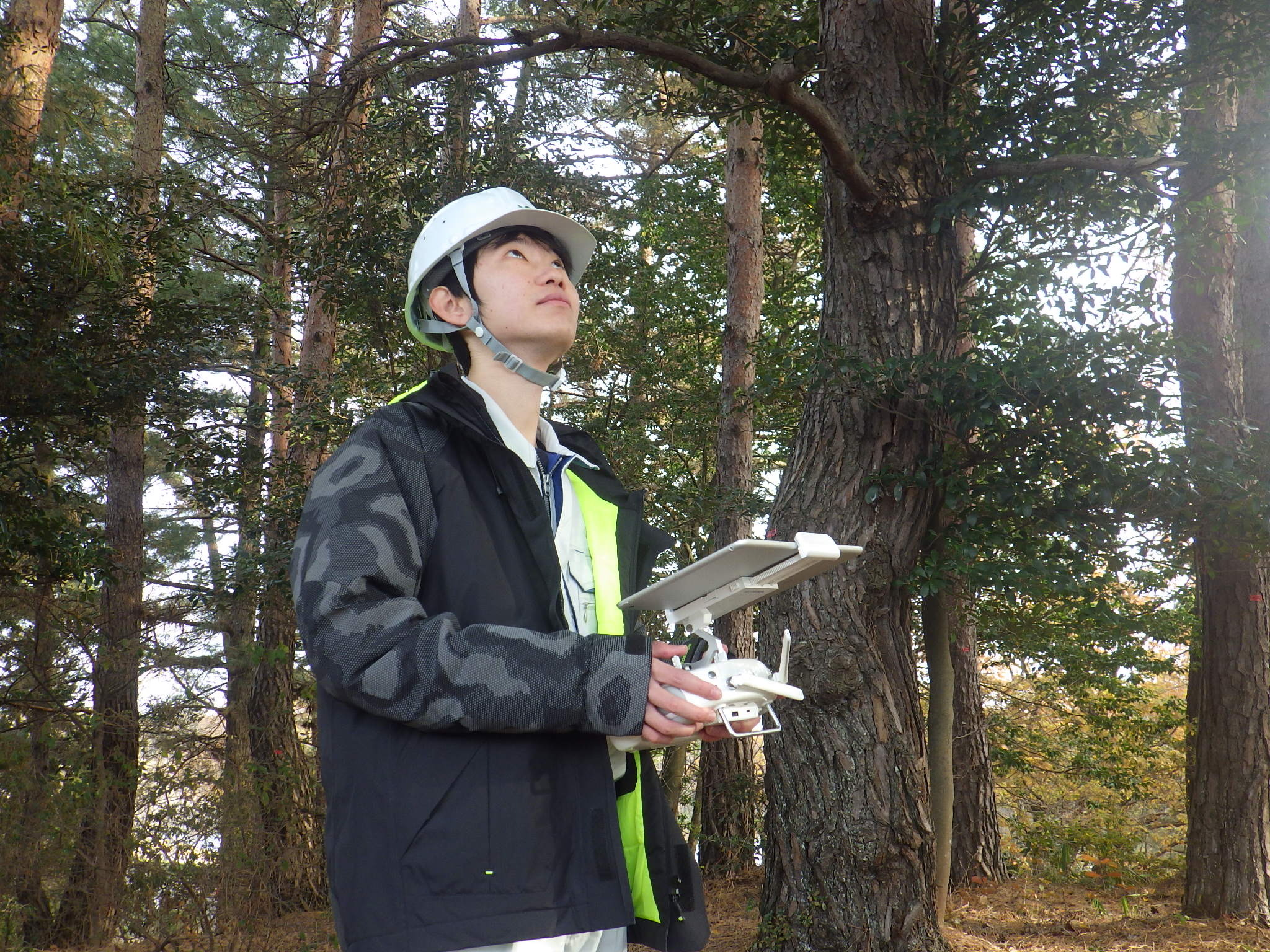 東部林業事務所