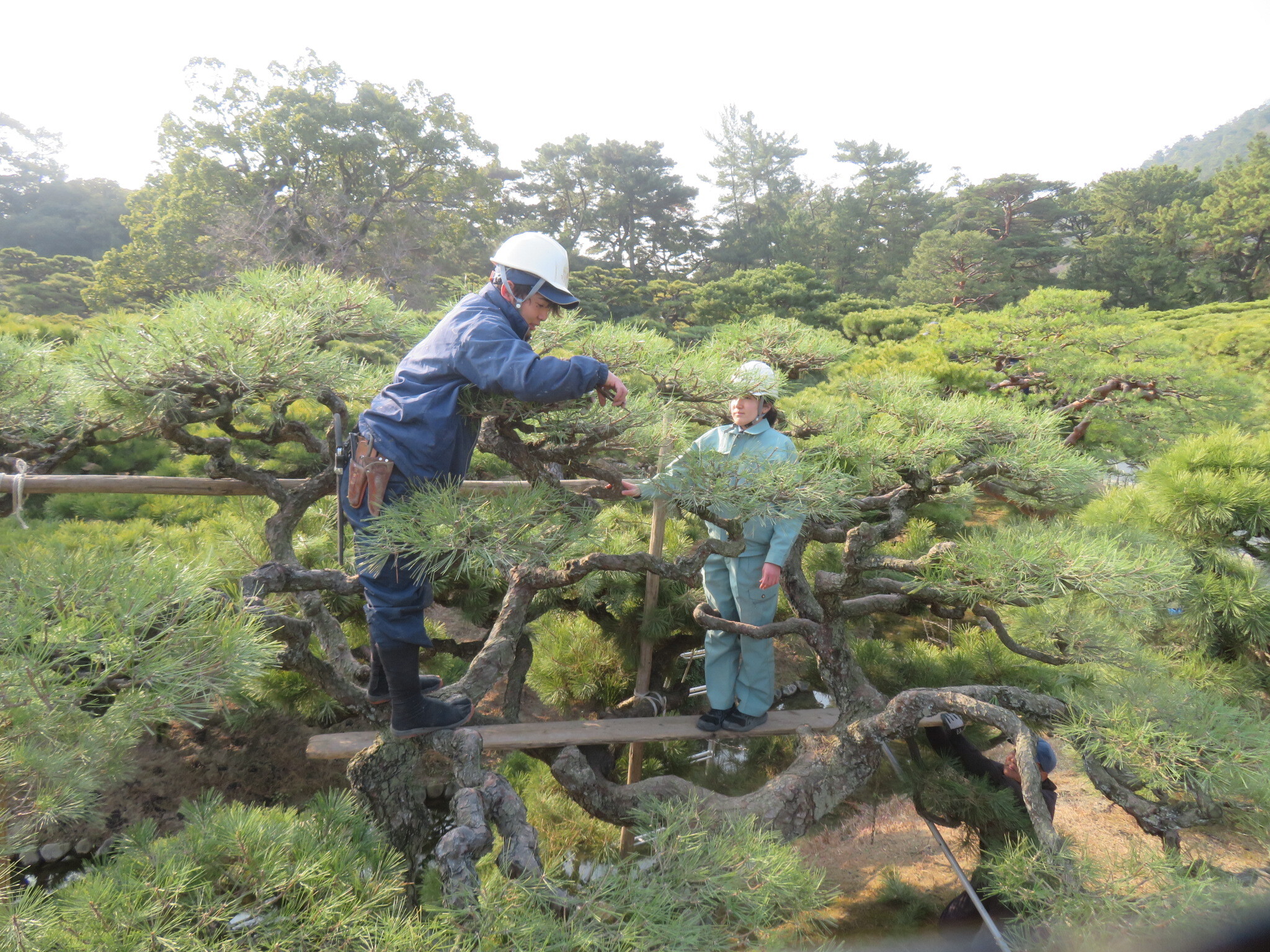 栗林公園観光事務所