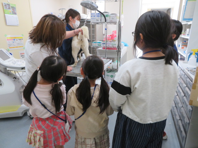 ゴールデンウィーク動物あいご教室　写真