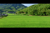 Sanuki Plain,a calm,typically Japanese landscape