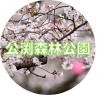 公渕森林公園アイコン