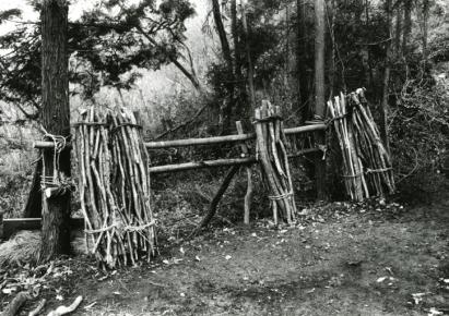 窯木置き場(窯木は根元を上にしてキネジの木で束ねる)