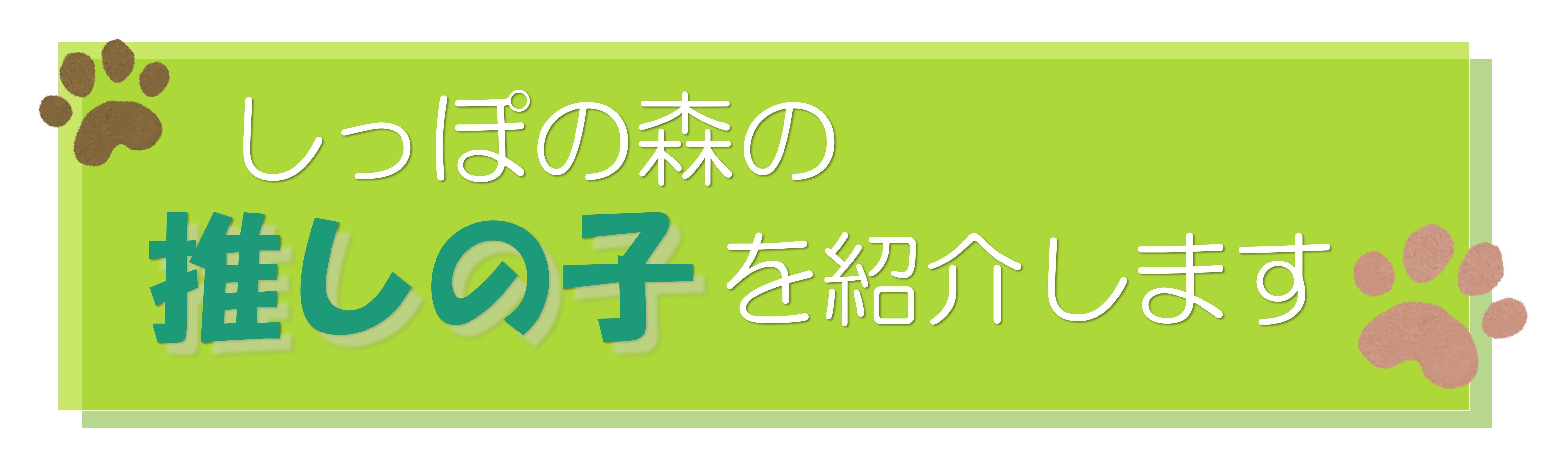 押しの子タイトル