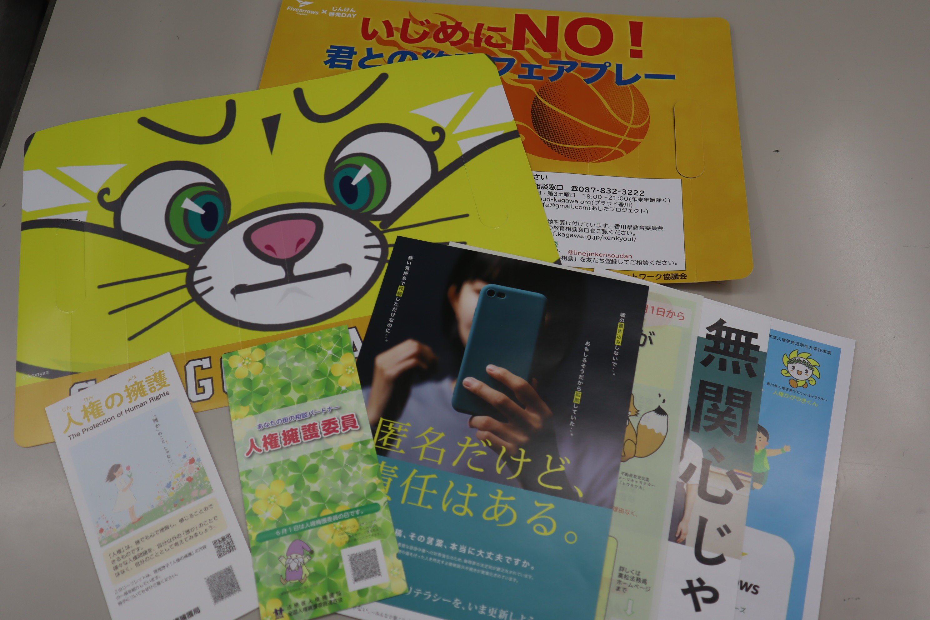 配布資料
