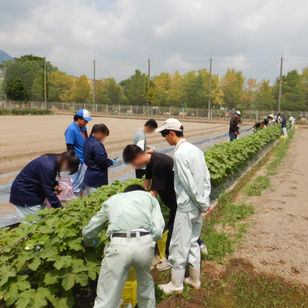 オープンキャンパス野菜園芸