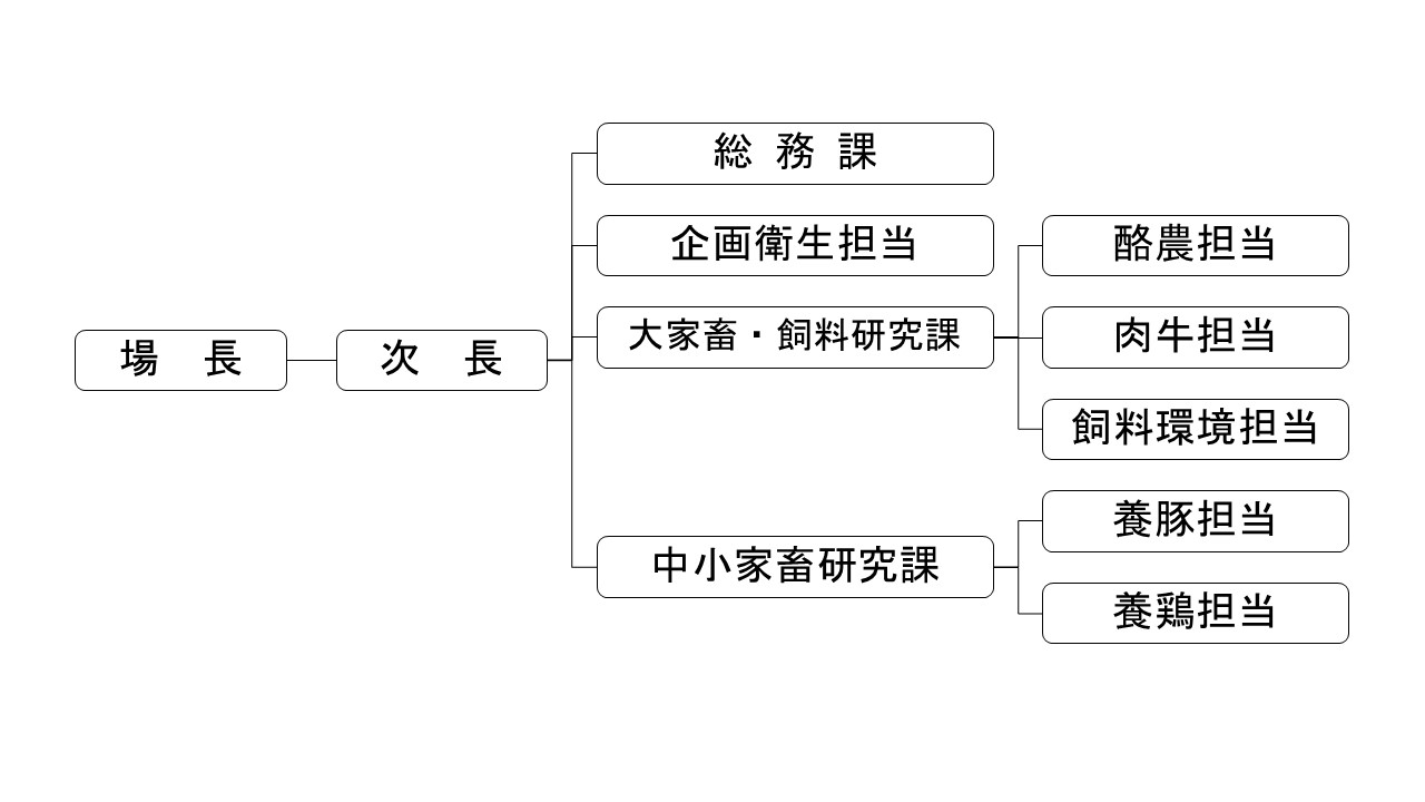 組織図