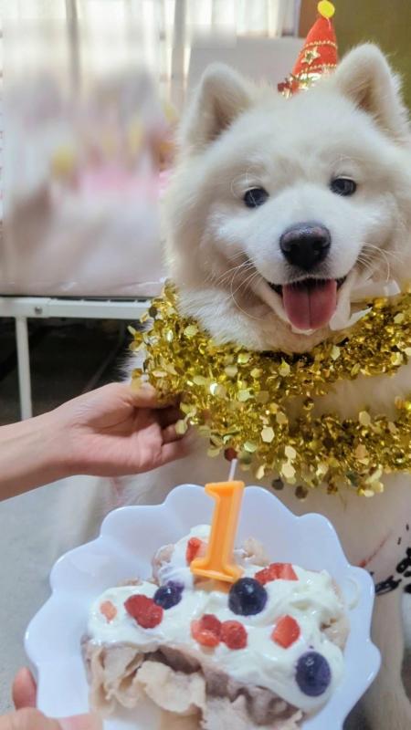 誕生日のお祝い写真