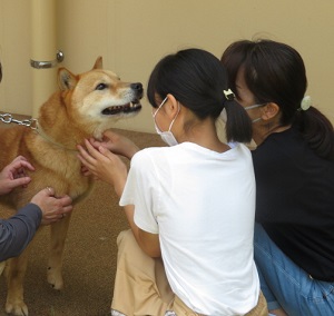 犬とふれあっている様子の写真