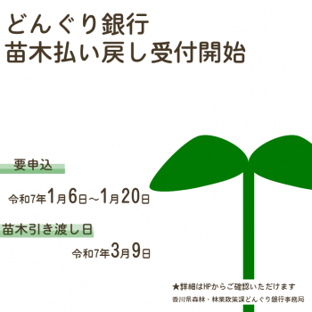 どんぐり銀行苗木払い戻し行事イメージ画像