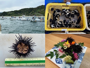 多度津高校画像