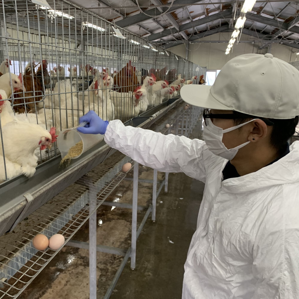 畜産試験場での専攻実習