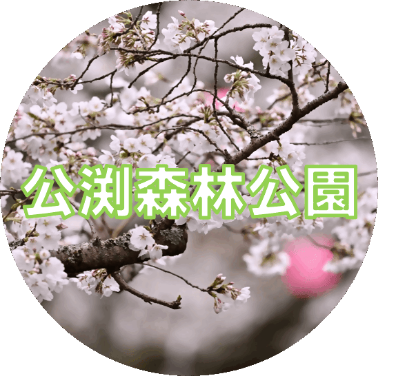 インスタグラムアイコン画像