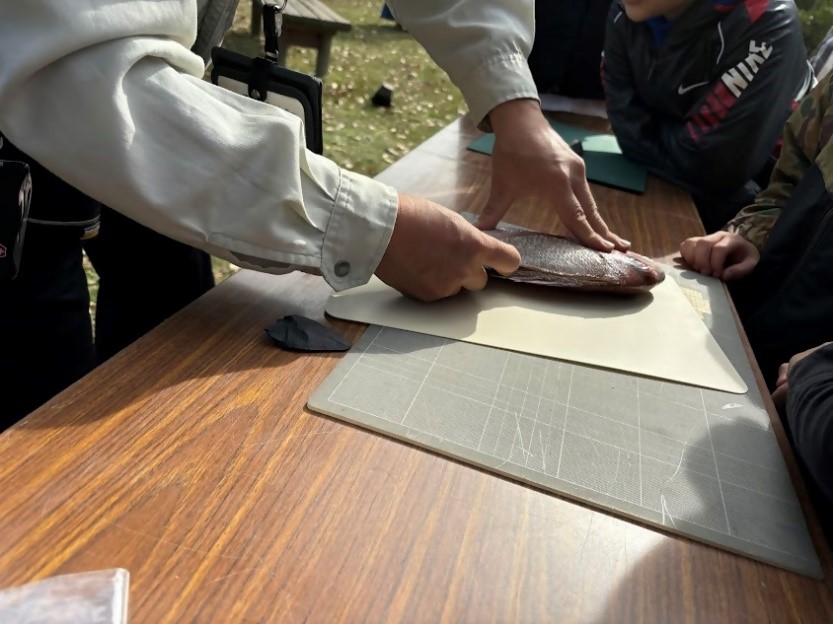 石器で魚を捌く