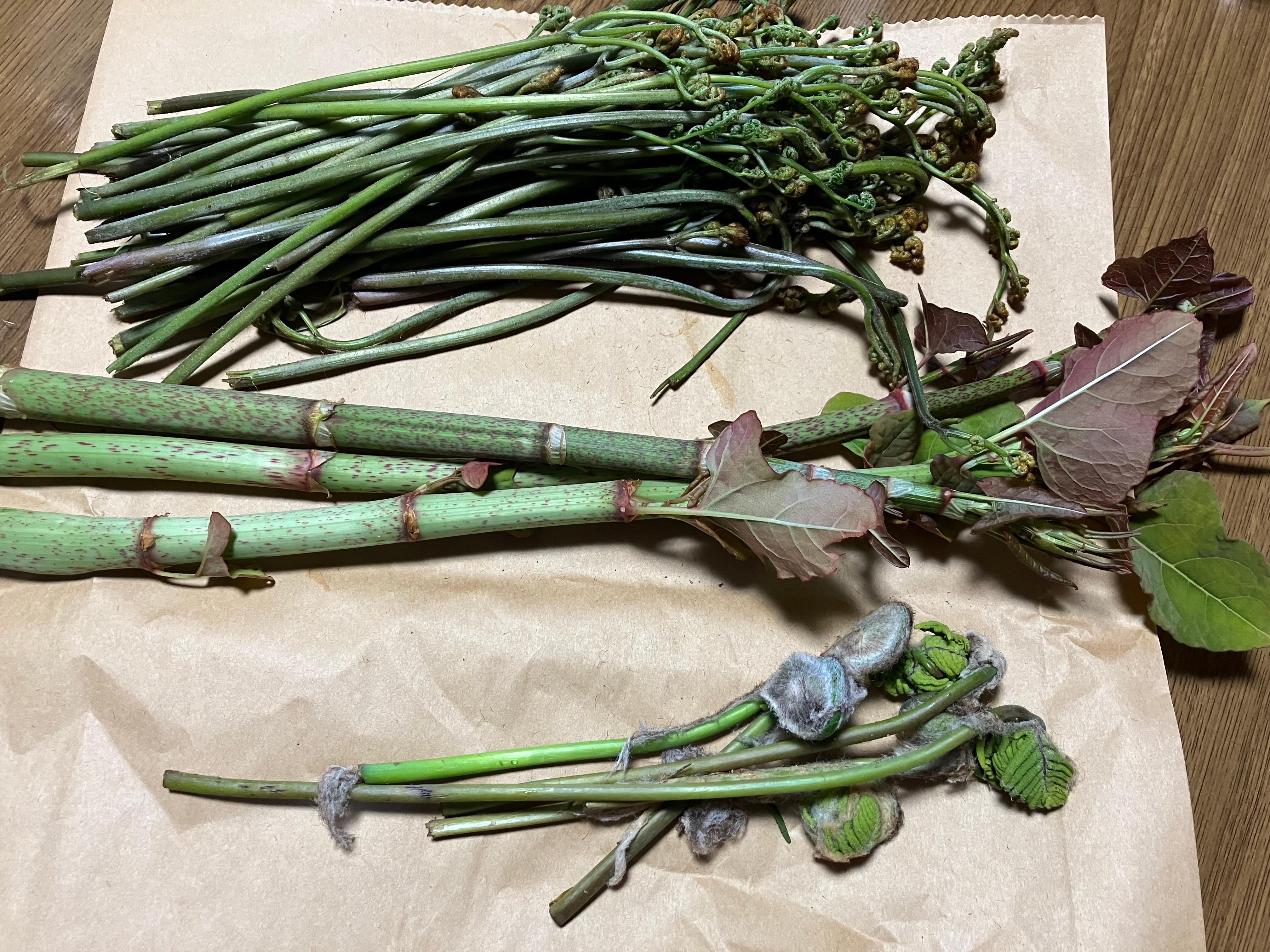 美味いでかがわ2