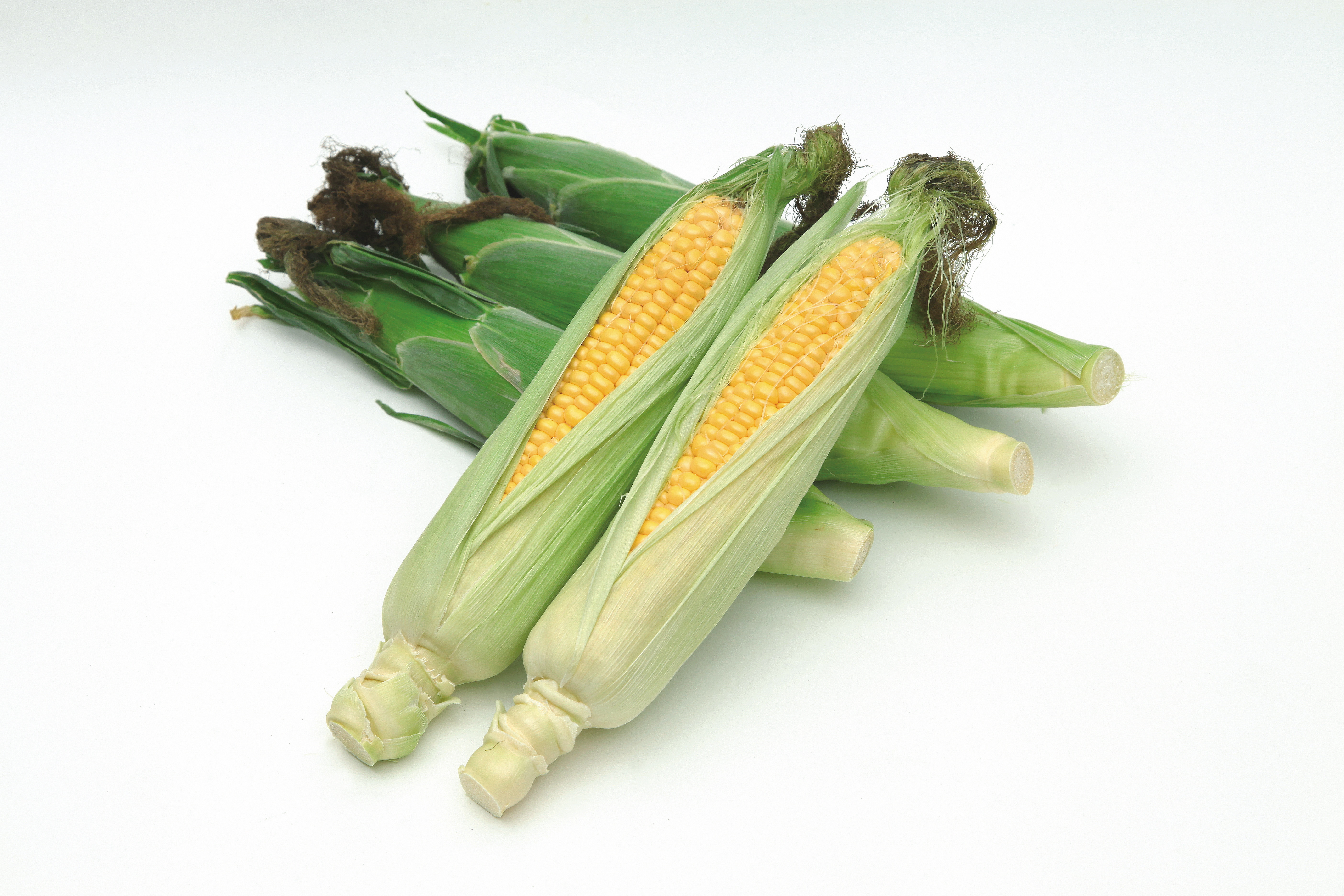 スイートコーン