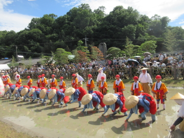 高校生と小学生の田植え風景