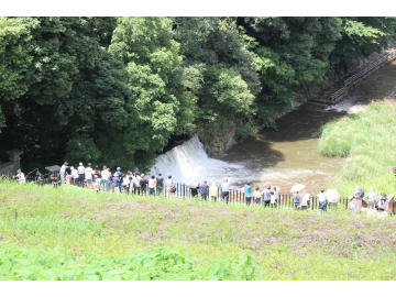 裏のり面が写っている