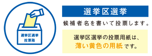 選挙区選挙