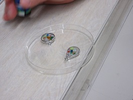 2025わくわく体験3-3