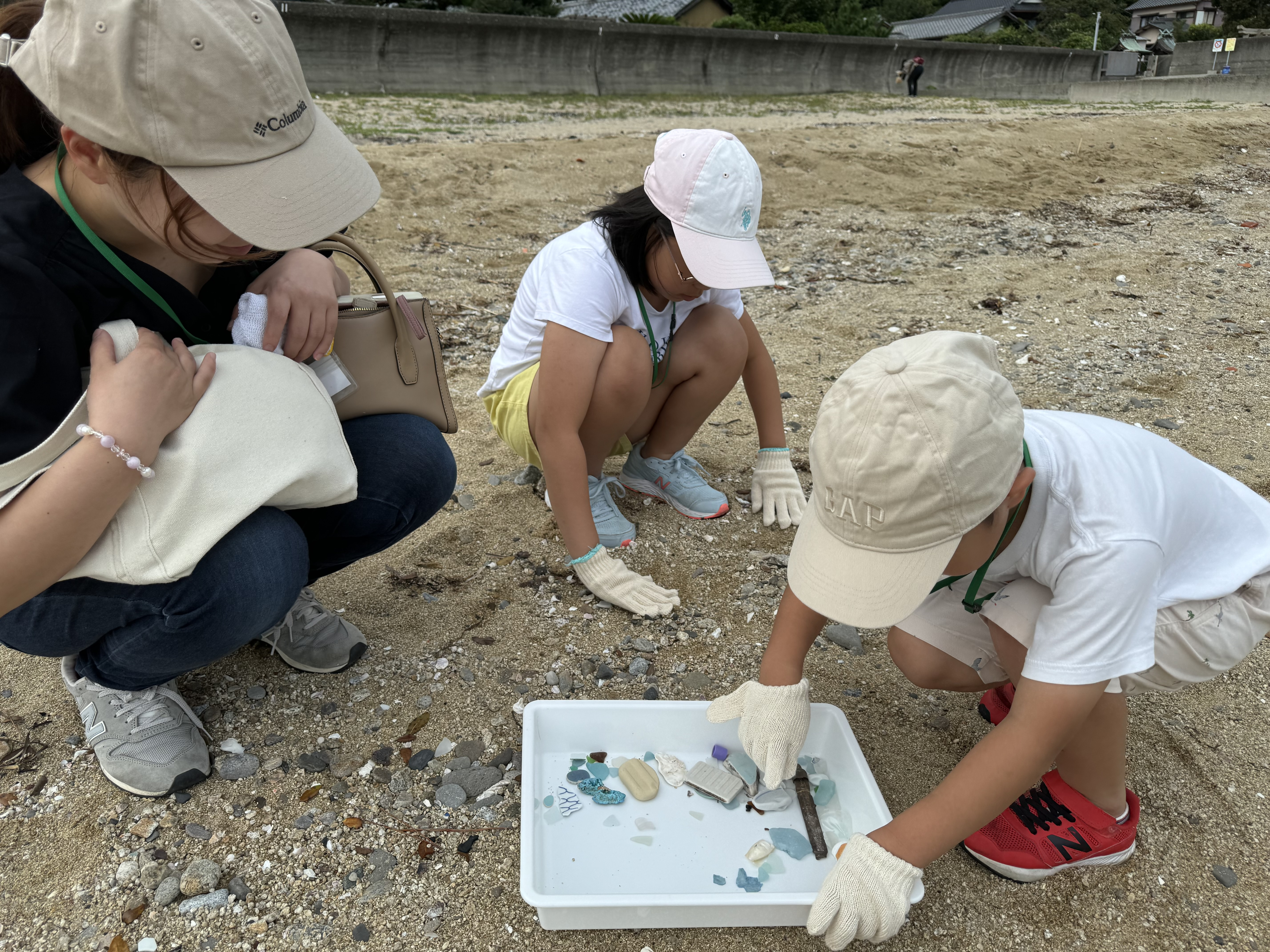 ビーチコーミングの様子