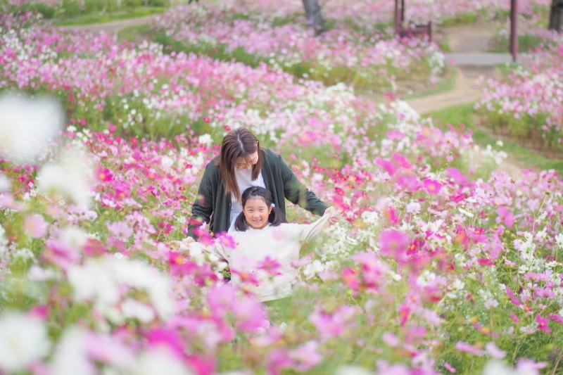 お花畑の中の親子