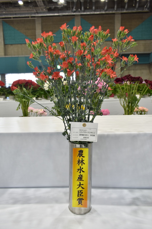 フラワーフェスティバル１