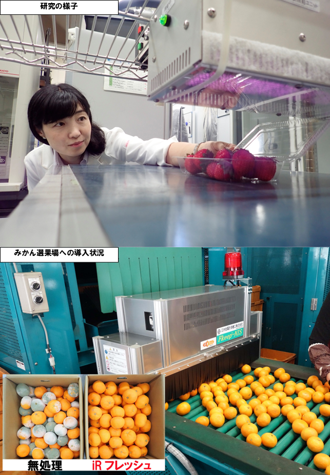 四国総合研究所画像