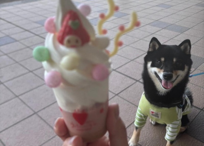 ペットフレンズ2