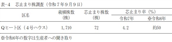 表4