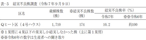 表5