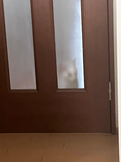 ペットフレンズ2