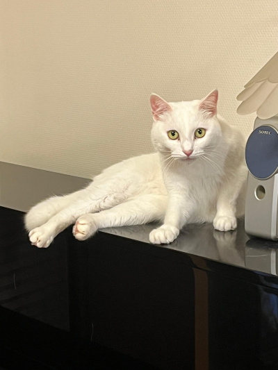 ペットフレンズ3