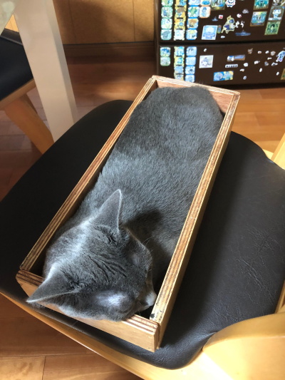 ペットフレンズ3