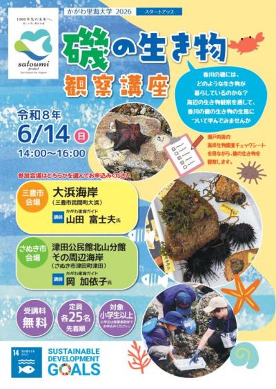 生き物観察おもて