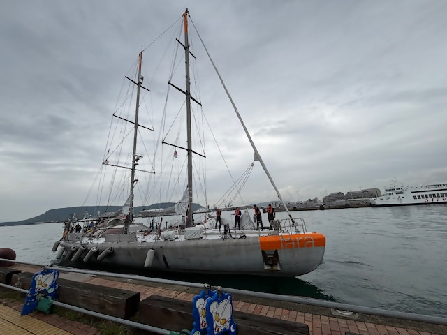 タラ