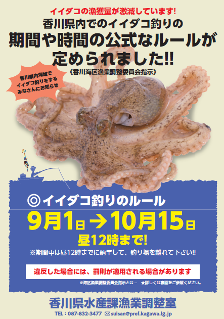 イイダコ釣りに関するチラシ