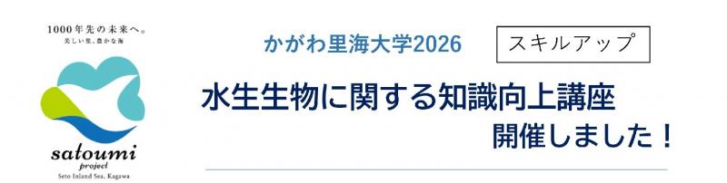 タイトル