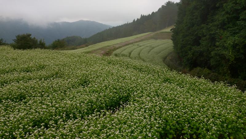 kaikafuukei