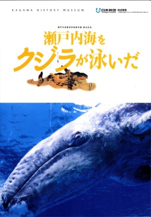 瀬戸内海をクジラが泳いだの画像