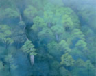 緑渓の写真