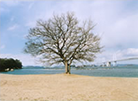 沙弥ナカンダ浜遺跡の写真